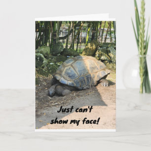 CARTE * BATTU* ANNIVERSAIRE DE TORTLE LAZY