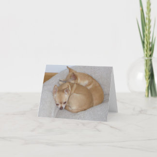 Carte BC- Cute Chihuahua Puppy Greeting Cards