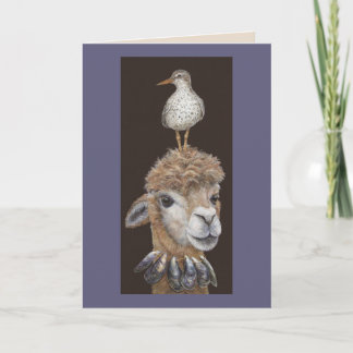Carte Beach Alpaca