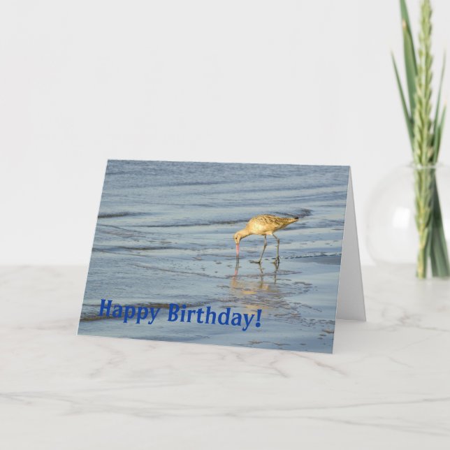 Carte Beach Bird Joyeux anniversaire 3 (Devant)