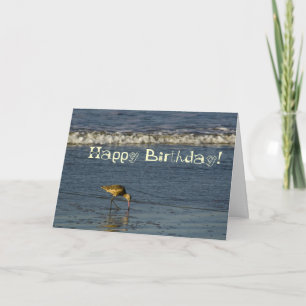 Carte Beach Bird Joyeux Anniversaire 4