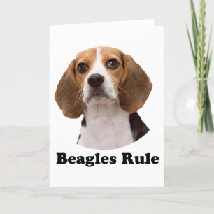 Carte Beagle