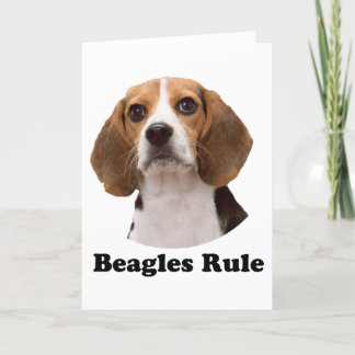 Carte Beagle