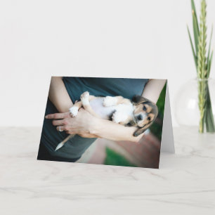 Carte Beagle Babe En Armes