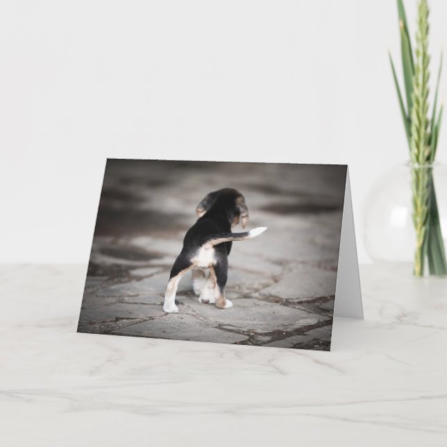 Carte Beagle bébé en bas (Devant)