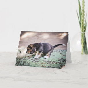 Carte Beagle bébé et feuille