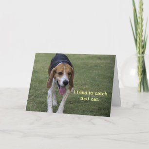 Carte Beagle Birthday Card