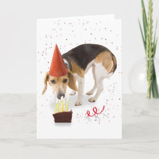 Carte Beagle d'anniversaire