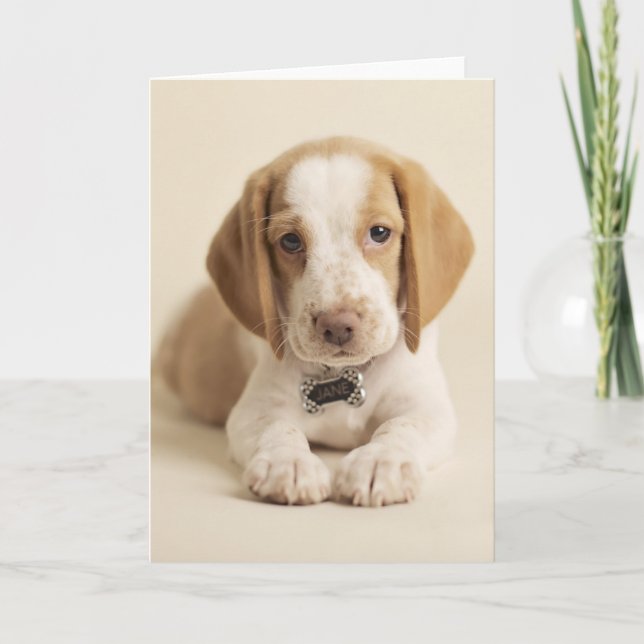 Carte Beagle Puppy (Devant)