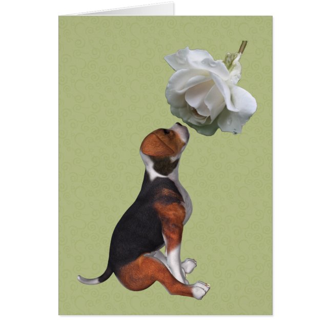 Carte beagle Puppy White Rose Animal (Devant)