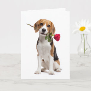 Carte Beagle Valentine – Amour loyal avec une rose