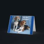 CARTE **BEAGLES** SOUHAITANT UN ANNIVERSAIRE TRÈS HEUREU<br><div class="desc">L'BEAGLE SOUHAITANT UN "ANNIVERSAIRE HEUREUX" EST UNE CHOSE RARE QUE VOUS NE PENSEZ PAS. VOUS POUVEZ CHANGER LE VERS ET AJOUTER L'ÂGE EN SECONDES SUR TOUTES MES CARTES DANS LES 9 MAGASINS. ET JE VEUX DIRE QUE LE MERCI S'EST ARRÊTÉ !</div>