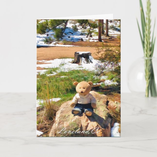 Carte Bear In The Woods Funny Greeting Card (Devant)