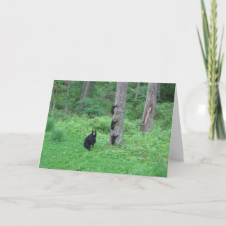 Carte Bear & Three Cubs - Cards - Reitzner