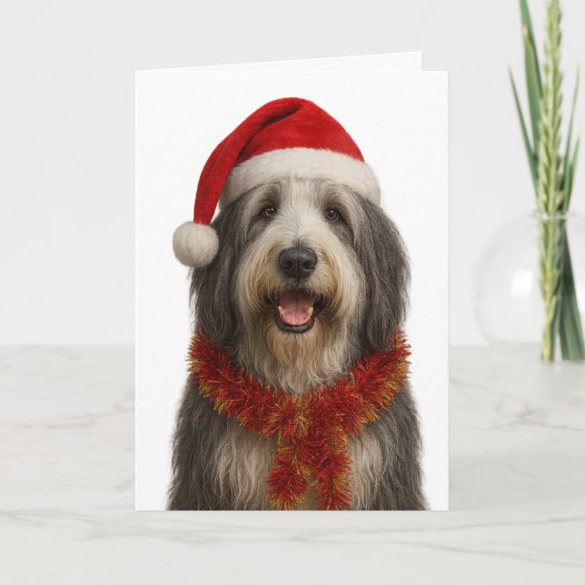 Carte Bearded Collie in a Santa hat Christmas card (Devant)