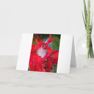 Carte Beau Alien Crimson.jpg