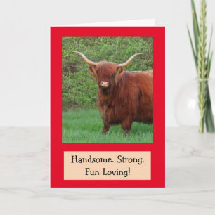 Carte Beau Amusant Highland Steer Anniversaire
