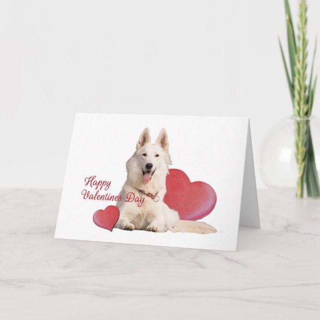 Carte Beau Berger Blanc Allemand Saint Valentin (Devant)