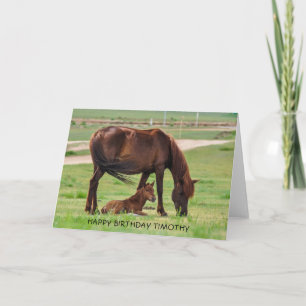 Carte Beau cheval et poulain dans un pâturage