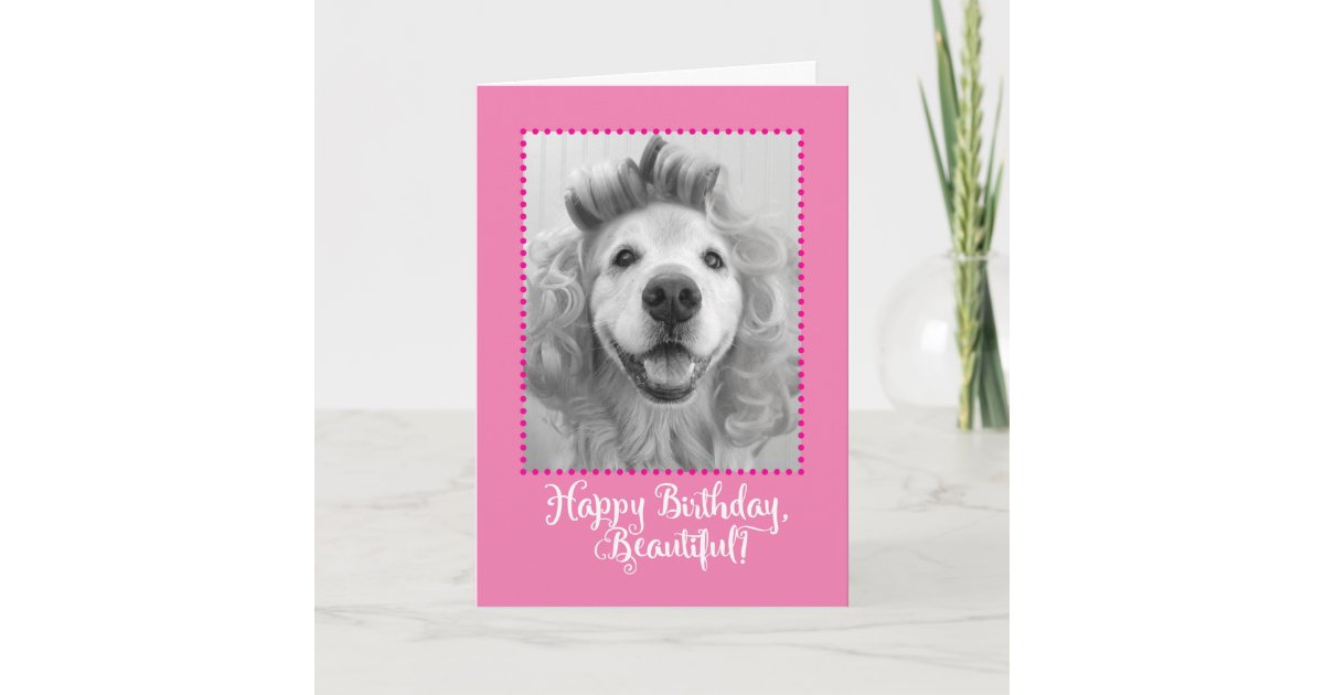  Carte  Beau  golden retriever avec l anniversaire  de Zazzle fr 