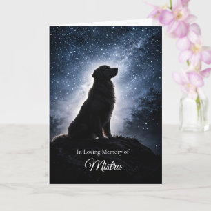 Carte Beau Golden Retriever Sympathie Condoléances