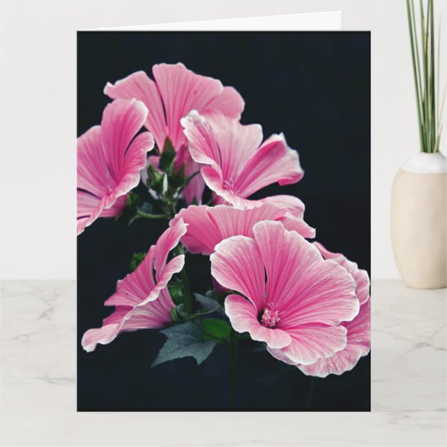 Carte Beau Jardin Roses Mallow Fleurs Roses (Devant)