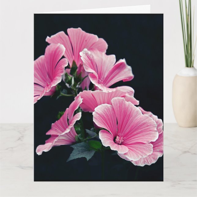 Carte Beau Jardin Roses Mauves Fleurs (Devant)