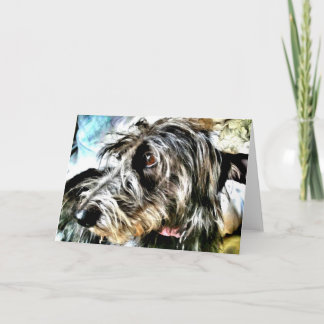 Carte Beau lurcher gris