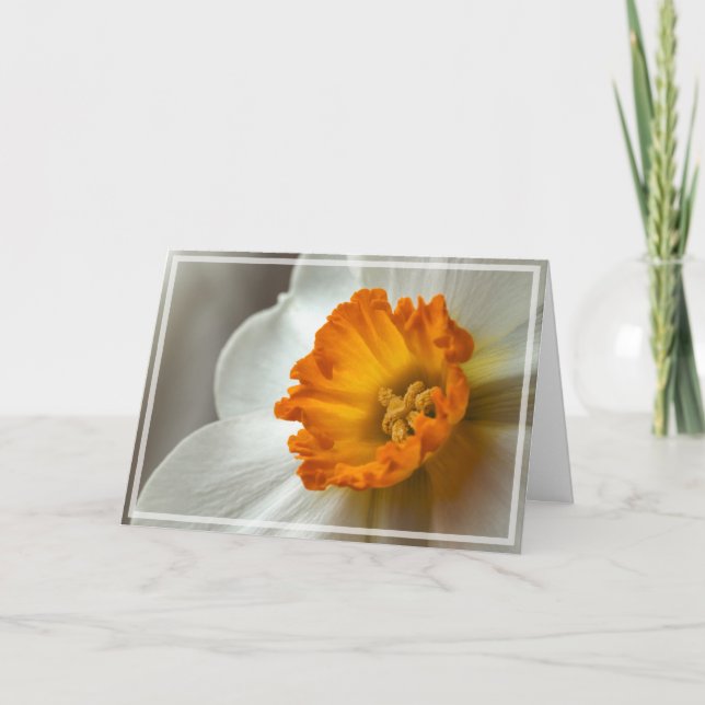 Carte Beau Narcisse Fleur Macro (Devant)