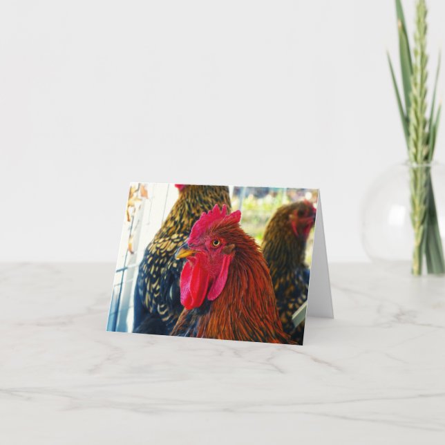 Carte Beau Rooster (Devant)