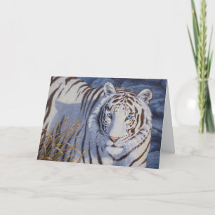 Carte Beau tigre blanc aux yeux bleu cristal