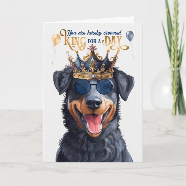 Carte Beauceron Chien King pour jour drôle Anniversaire (Devant)