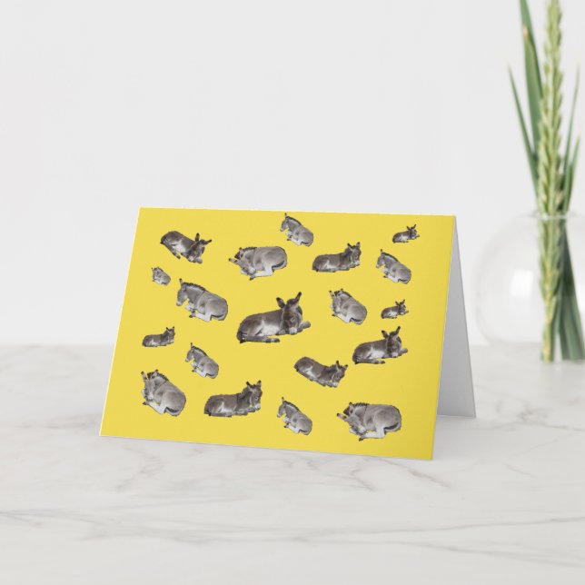 Carte Beaucoup de petits ânes (Devant)