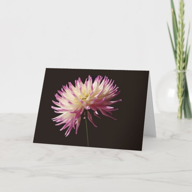 Carte beauté absolue (Devant)