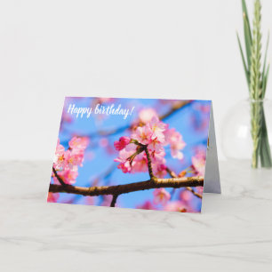 Carte Beauté Charmante Des Fleurs Sakura Au Printemps