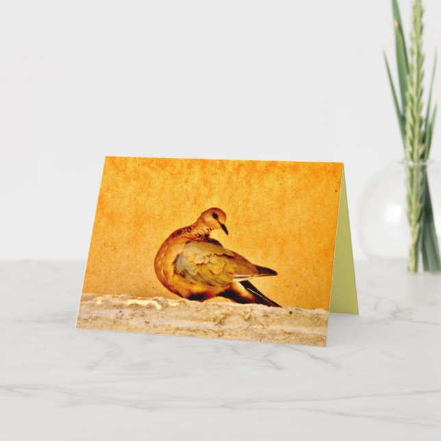 Carte Beauté de la colombe (Devant)