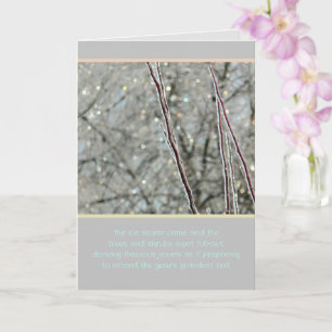 CARTE BEAUTÉ DE LA TEMPÊTE DE GLACE/ÉPARKLES COMME DES B