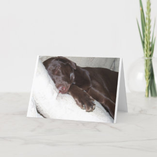 Carte Beauté de sommeil