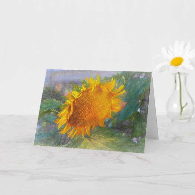 Carte Beauté des tournesols (Petite plante)