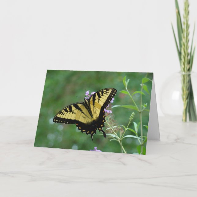 Carte Beauté d'été (Devant)