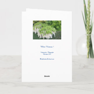 Carte /Beauté/Wisteria/Jardin/Nature/Tranquillité