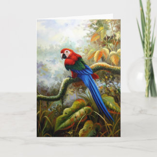 Carte beautiful birds greeting cards 06
