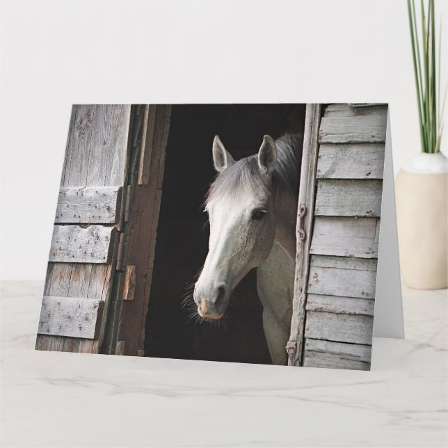 Carte Beautiful Gray Mare Horse Rustic Ranch (Devant)