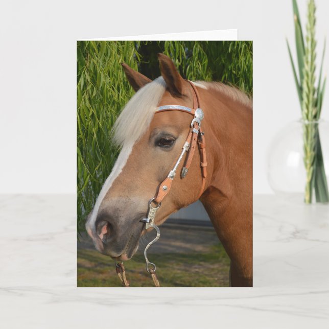 Carte Beautiful haflinger horse (Devant)