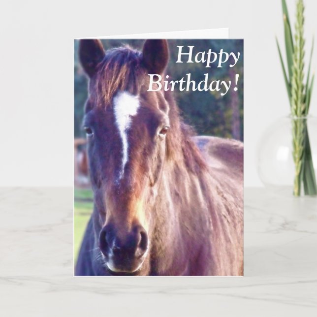 Carte Beautiful Horse Birthday Card (Devant)