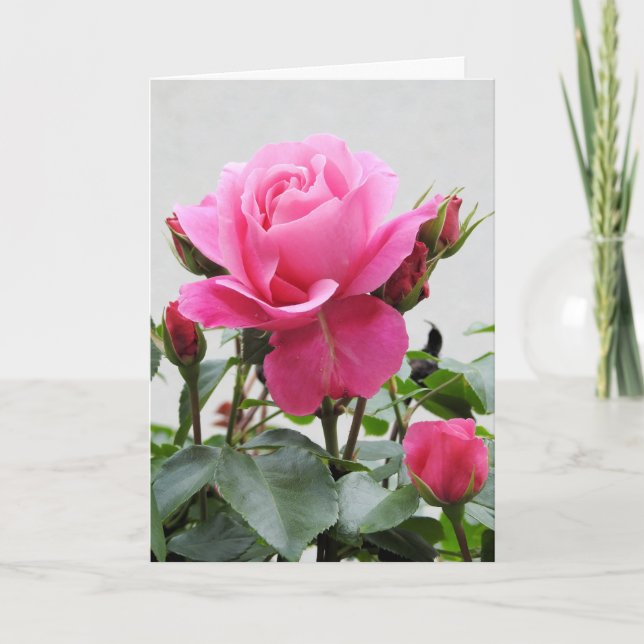 Carte Beautiful Pink Rose (Devant)