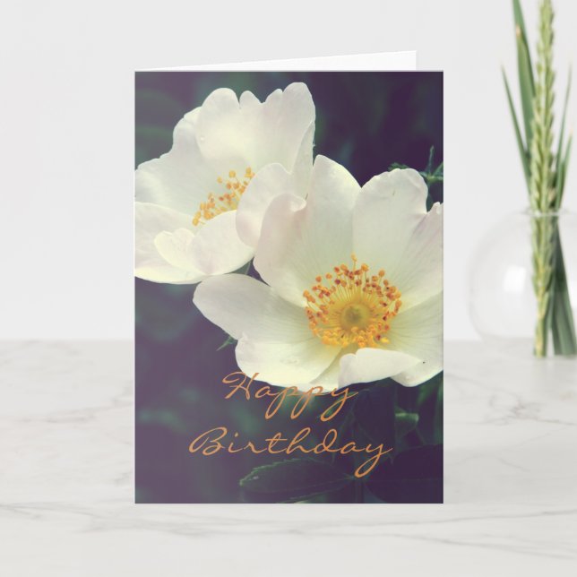 Carte Beautiful Wild Rose Happy Birthday Card (Devant)