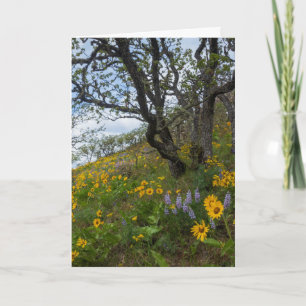 Carte Beaux Fleurs sauvages sur une colline Photo