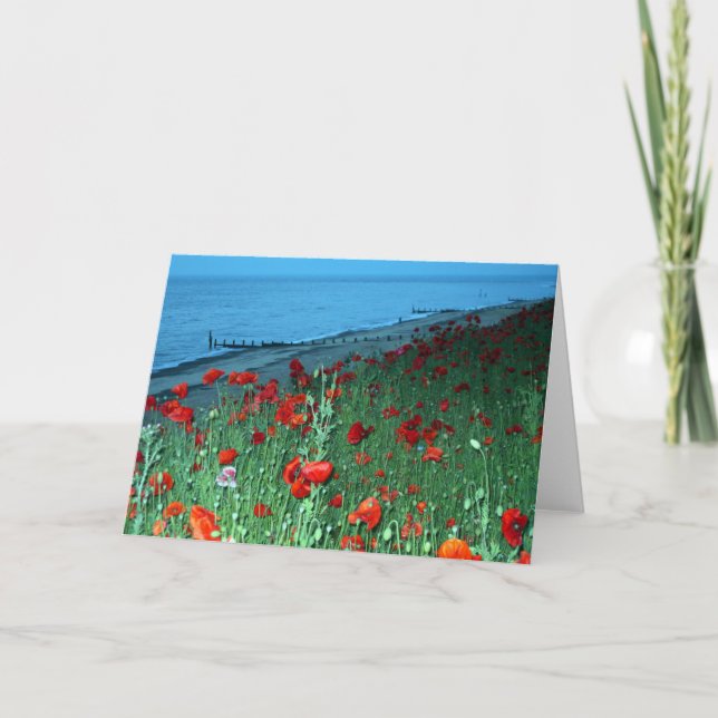 Carte Beaux papillons rouges en front de mer du sud (Devant)