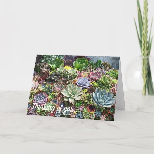 Carte Beaux succulents (Devant)